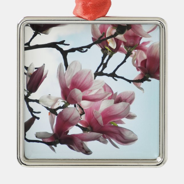 Ornement Métallique Saucer Magnolia Tulip Fleurs d'arbre Photo (Devant)