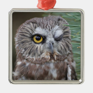Ornement Métallique Scie-affûtez le hibou