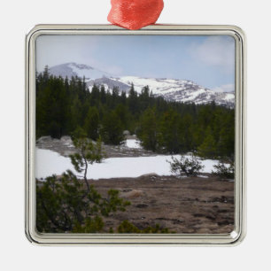 Ornement Métallique Sierra Nevada Montagnes et neige à Yosemite