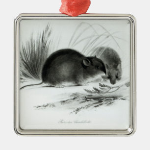 Ornement Métallique Souris, Terre de Feu, Amérique du Sud c.1832-36