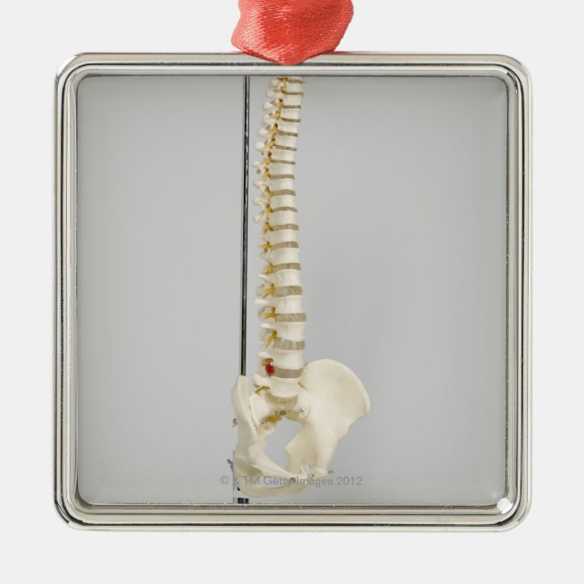Ornement Métallique Squelette de chiropractie (Devant)