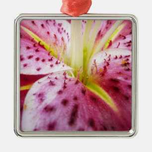 Ornement Métallique Stargazer Lily brillant Magenta Floral