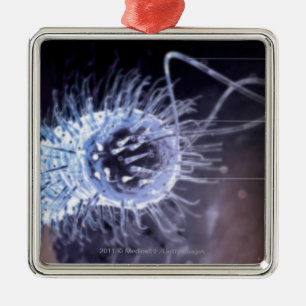 Ornement Métallique Structure d'une cellule de pylores de hélicobacter