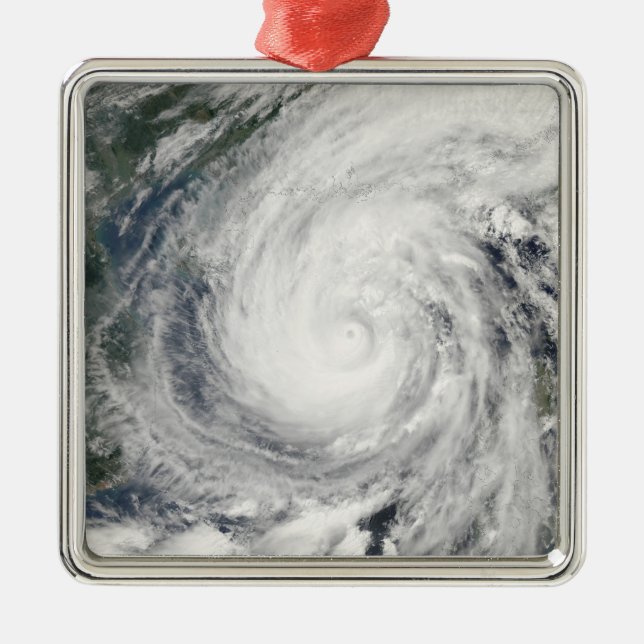Ornement Métallique Tempête tropicale Chanchu (Devant)