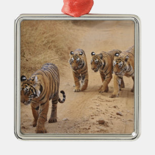 Ornement Métallique Tigres du Bengale