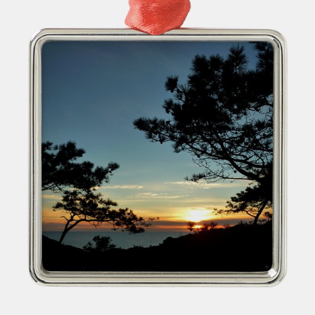 Ornement Métallique Torrey Pine Sunset III Paysage californien (Devant)
