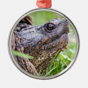 Ornement Métallique Tortue de rupture