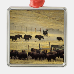 Ornement Métallique Tour de la chaîne de bisons du Montana