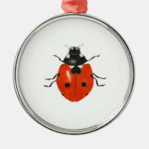 Ornement Métallique Trois coccinelles 2013