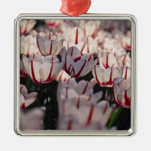 Ornement Métallique Tulipes