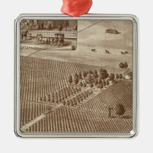 Ornement Métallique Vignoble sans paire, Hanford, calorie