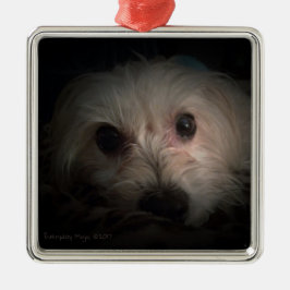 Ornement mignon de délivrance de chiot de chien de