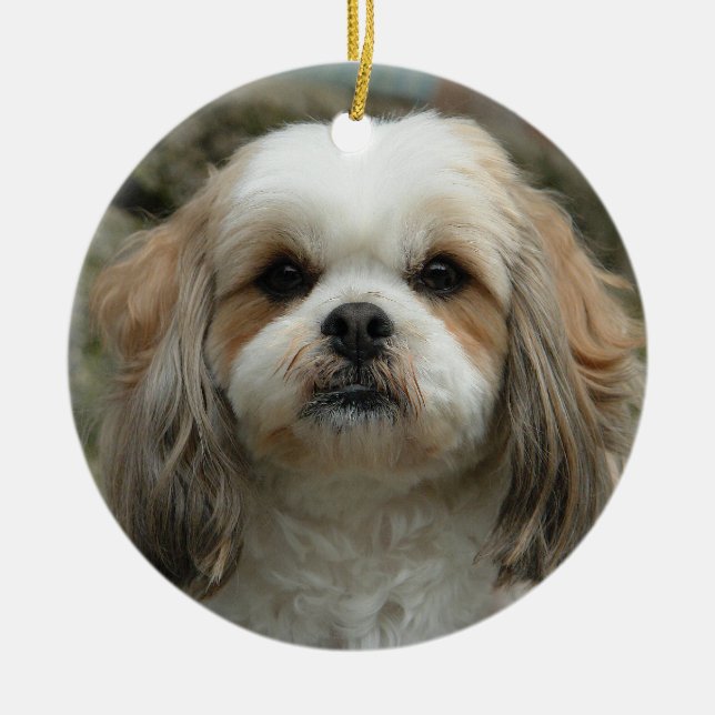 Ornement mignon de Noël de Shih Tzu (Devant)