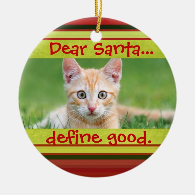 Ornement mignon de photo de Noël d'animal familier (Devant)