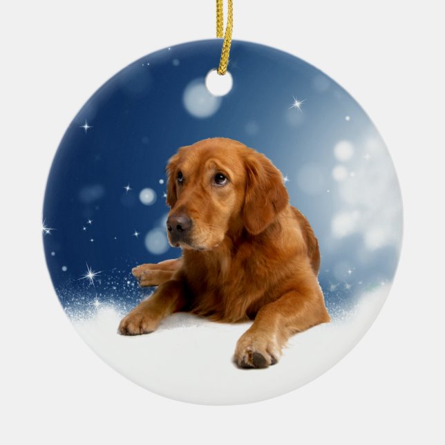 Ornement Mignonne Golden Retriever Chien assis dans les éto (Devant)