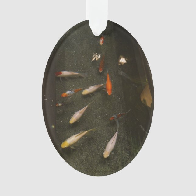 Ornement Nishikigoi (Poisson Koi) (devant)