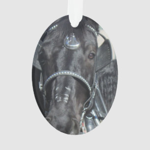 Ornement noir de cheval