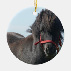 Ornement noir de poney