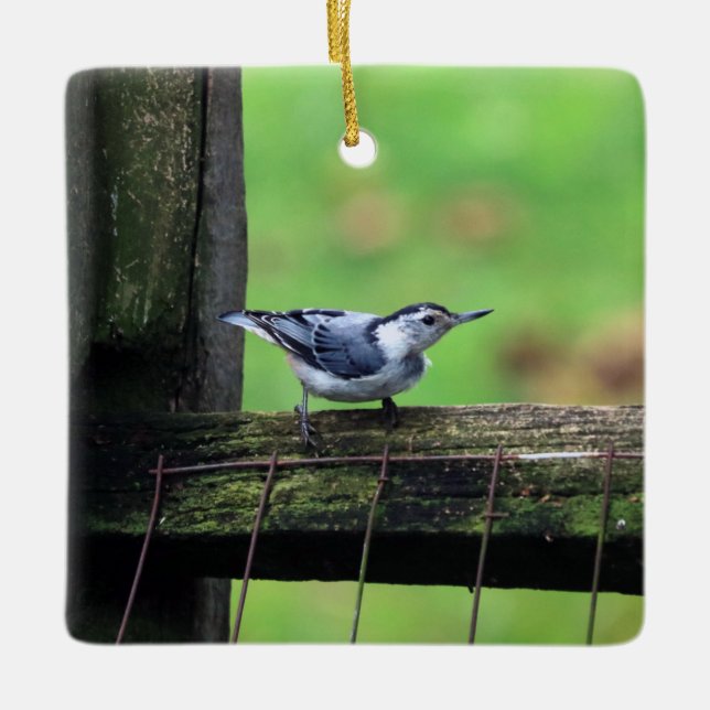 Ornement Nuthatch (Devant)