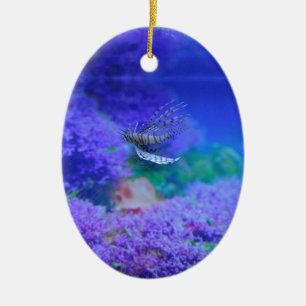 Ornement Ovale En Céramique Aquarium Poisson poisson violet Pterois Zebrafish