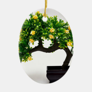 Ornement Ovale En Céramique Arbre de bonsaïs