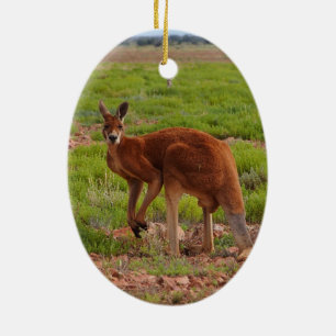 Ornement Ovale En Céramique Australian red kangaroo ornament
