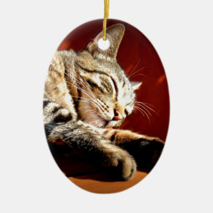 Ornement Ovale En Céramique Beau chat tigré