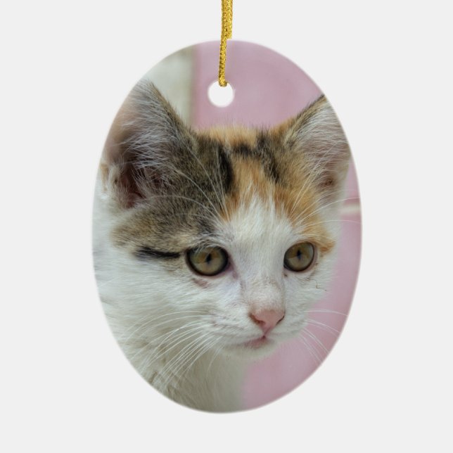 Ornement Ovale En Céramique Bébé Calico (Devant)