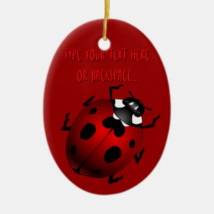 Ornement Ovale En Céramique Cadeaux de coccinelle de souvenir d'insecte