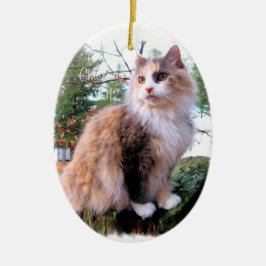 Ornement Ovale En Céramique Calico Chat Noël Personnalisé