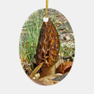 Ornement Ovale En Céramique Champignon de morelle