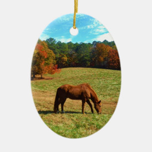 Ornement Ovale En Céramique Cheval Brown rouge, ciel bleu Turquoise