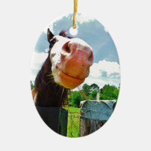 Ornement Ovale En Céramique Cheval souriant