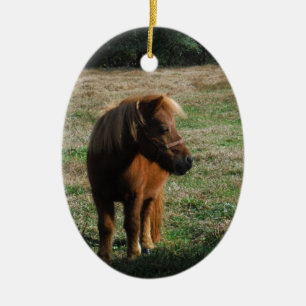 Ornement Ovale En Céramique Chevaux miniatures Brown