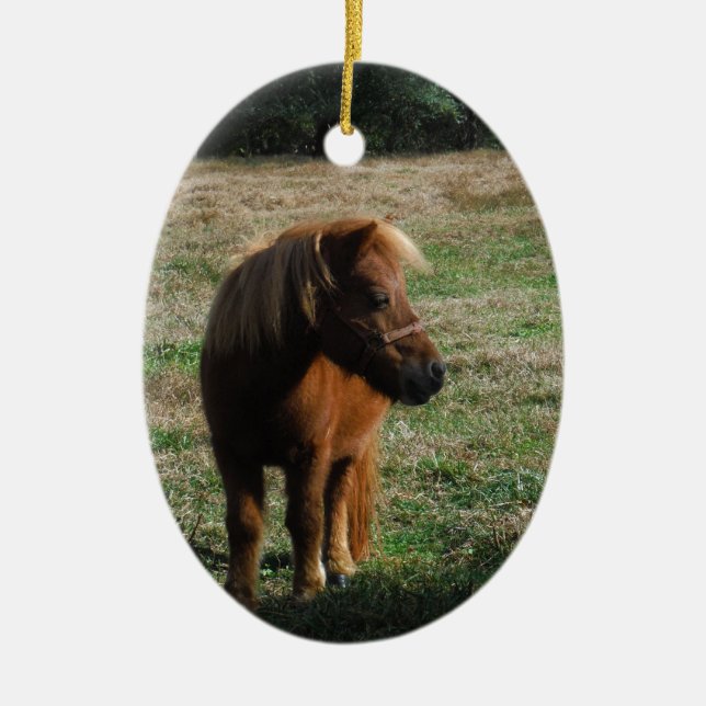 Ornement Ovale En Céramique Chevaux miniatures Brown (Devant)