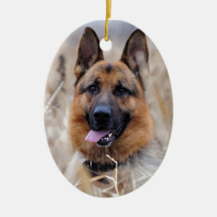 Ornement Ovale En Céramique Chien de berger allemand