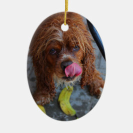 Ornement Ovale En Céramique Chien humide avec banane