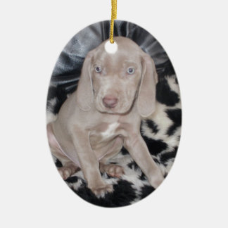 Ornement Ovale En Céramique Chiot de Weimaraner