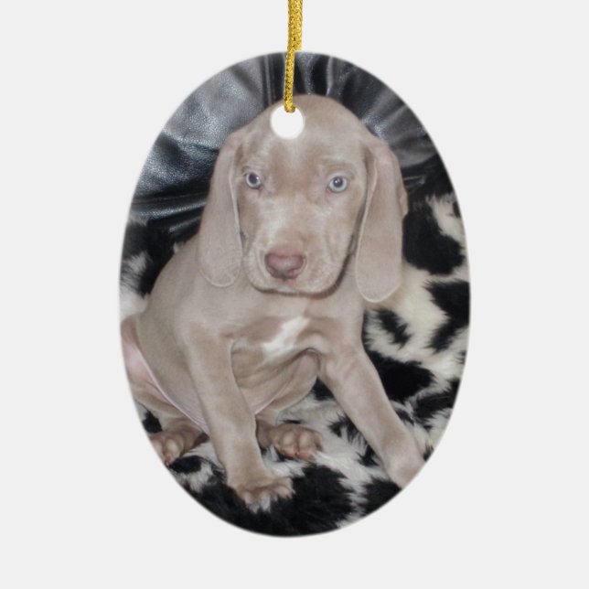 Ornement Ovale En Céramique Chiot de Weimaraner (Devant)