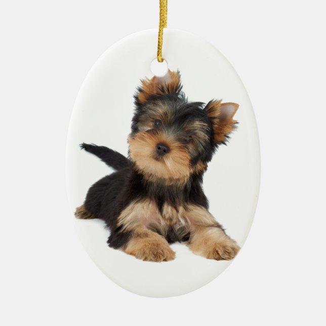 Ornement Ovale En Céramique Chiot mignon de yorkie (Devant)