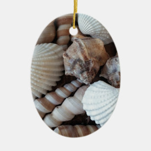 Ornement Ovale En Céramique Collection de coquillages ensoleillés Nature été
