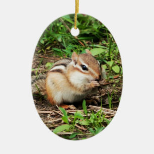 Ornement Ovale En Céramique Cute Chipmunk