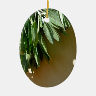 Ornement Ovale En Céramique Elégante plante verte feuille sauge