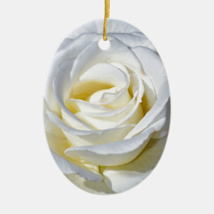 Ornement Ovale En Céramique Fleurs de rose blanches