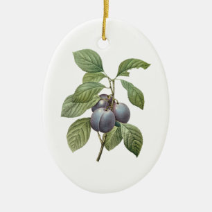 Ornement Ovale En Céramique Fruit vintage, Plums pourpres de jardin par Redout