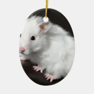 Ornement Ovale En Céramique Hamster d'ours de nounours