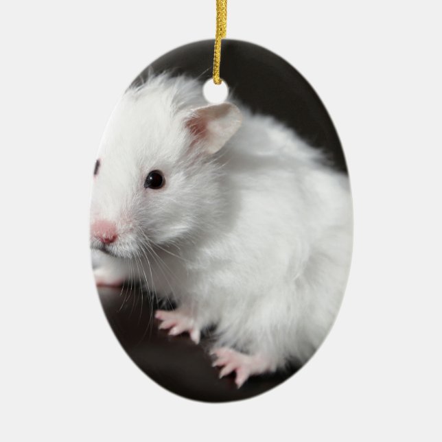 Ornement Ovale En Céramique Hamster d'ours de nounours (Devant)