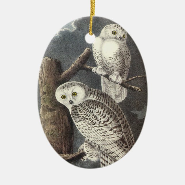 Ornement Ovale En Céramique Hibou de Milou, John Audubon (Devant)