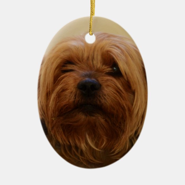 Ornement Ovale En Céramique Jake le Yorkie Terrier (Devant)
