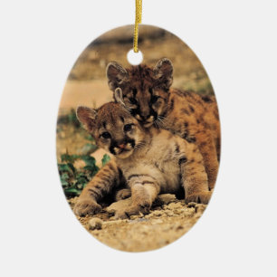 Ornement Ovale En Céramique Le tigre CUB ornementent